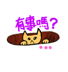 食物星之喵～（個別スタンプ：4）