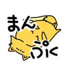 元気な狐のコンタロウ（個別スタンプ：12）