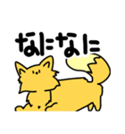 元気な狐のコンタロウ（個別スタンプ：17）