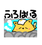 元気な狐のコンタロウ（個別スタンプ：19）