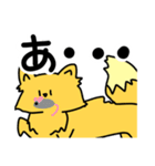 元気な狐のコンタロウ（個別スタンプ：20）