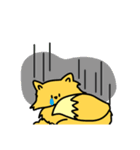 元気な狐のコンタロウ（個別スタンプ：21）