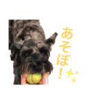 うちのお犬様。（個別スタンプ：3）
