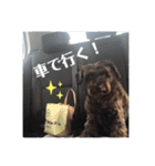 うちのお犬様。（個別スタンプ：17）
