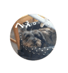 うちのお犬様。（個別スタンプ：20）