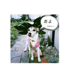 my fam.chiru +（個別スタンプ：2）
