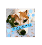 my fam.chiru +（個別スタンプ：5）