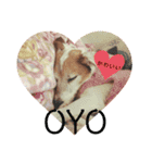 my fam.chiru +（個別スタンプ：7）