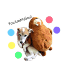 my fam.chiru +（個別スタンプ：9）