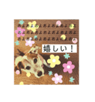 my fam.chiru +（個別スタンプ：10）