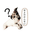 my fam.chiru +（個別スタンプ：11）