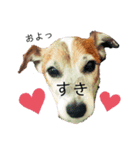 my fam.chiru +（個別スタンプ：12）