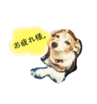 my fam.chiru +（個別スタンプ：13）