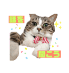 ぽん太とそう太、時々ライたん（個別スタンプ：9）