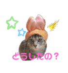ぽん太とそう太、時々ライたん（個別スタンプ：10）