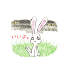 貧うさぎくん！（個別スタンプ：1）