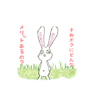 貧うさぎくん！（個別スタンプ：8）