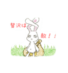 貧うさぎくん！（個別スタンプ：10）