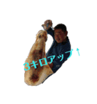 やったぞおい！！パート1.1（個別スタンプ：13）