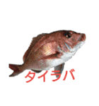 やったぞおい！！パート1.1（個別スタンプ：23）