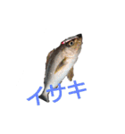 やったぞおい！！パート1.1（個別スタンプ：26）