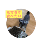 食いしん坊きょろちゃん（個別スタンプ：4）