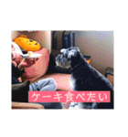 食いしん坊きょろちゃん（個別スタンプ：5）
