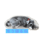 食いしん坊きょろちゃん（個別スタンプ：6）