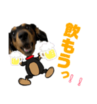 ダックスフントひなちゃんスタンプ2（個別スタンプ：21）