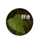 Greetings Set 2（個別スタンプ：17）