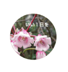 Greetings Set 2（個別スタンプ：18）