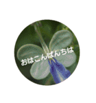 Greetings Set 2（個別スタンプ：25）