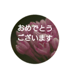 Greetings Set 2（個別スタンプ：29）