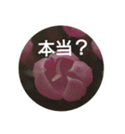 Greetings Set 2（個別スタンプ：33）