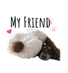 ダックス’s❤︎（個別スタンプ：3）
