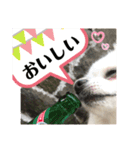 白ポメラニアンのりりーちゃま。（個別スタンプ：15）