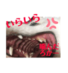 白ポメラニアンのりりーちゃま。（個別スタンプ：19）