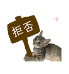 黒田姉妹 ししゃも にぼし（個別スタンプ：14）