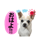 ふうのキモチ（個別スタンプ：1）