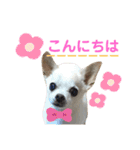 ふうのキモチ（個別スタンプ：2）