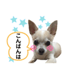 ふうのキモチ（個別スタンプ：3）