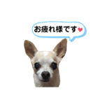 ふうのキモチ（個別スタンプ：5）