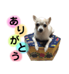 ふうのキモチ（個別スタンプ：6）