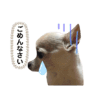 ふうのキモチ（個別スタンプ：7）