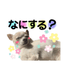 ふうのキモチ（個別スタンプ：12）