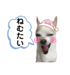 ふうのキモチ（個別スタンプ：13）