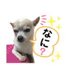ふうのキモチ（個別スタンプ：14）