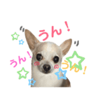 ふうのキモチ（個別スタンプ：15）