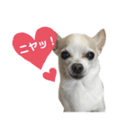 ふうのキモチ（個別スタンプ：16）
