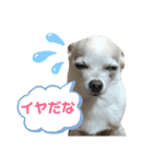 ふうのキモチ（個別スタンプ：17）